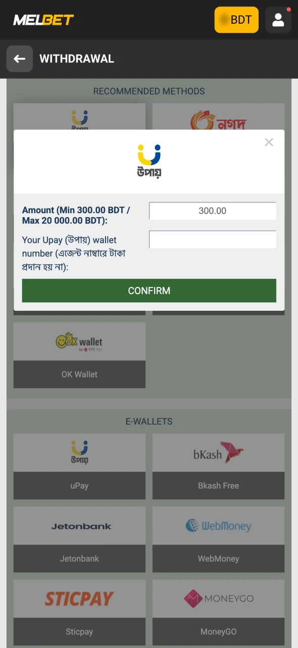 Choose the payment method at Melbet website.