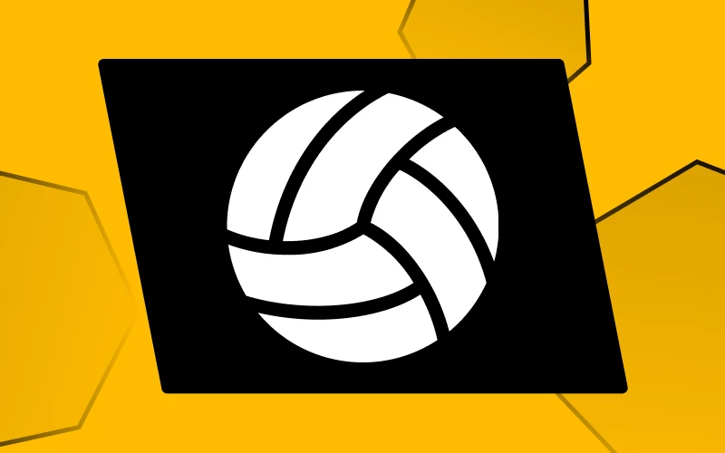 Melbet platform offers a range of volleyball betting choices.